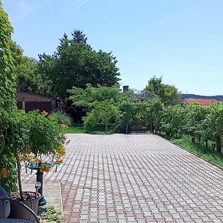T.H.Ny Village Inn Cottage Tihany Ngoại thất bức ảnh