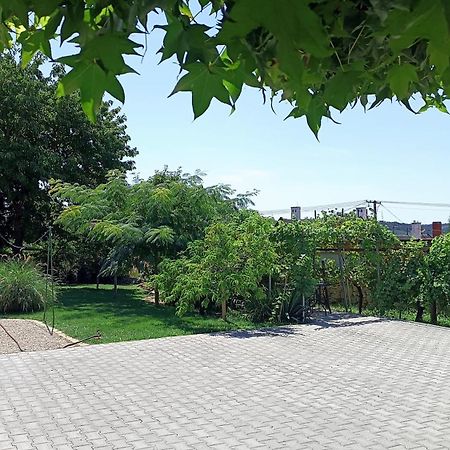 T.H.Ny Village Inn Cottage Tihany Ngoại thất bức ảnh