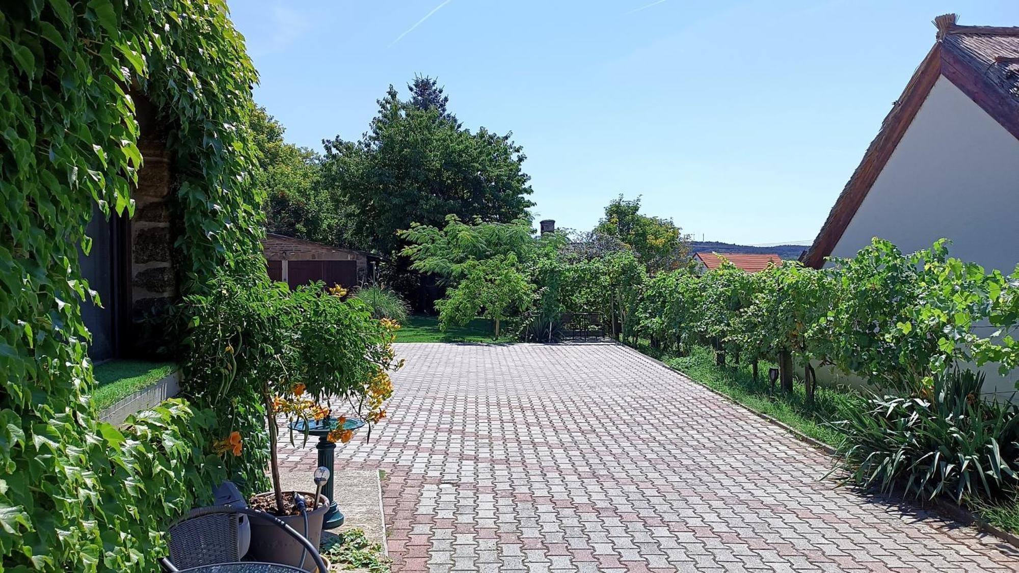 T.H.Ny Village Inn Cottage Tihany Ngoại thất bức ảnh